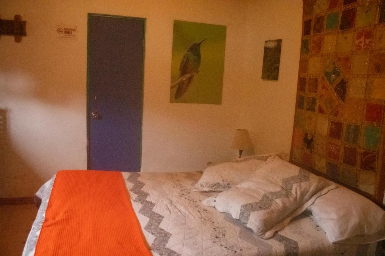 La Cigarra Casa De Huespedes Otel Salento Dış mekan fotoğraf