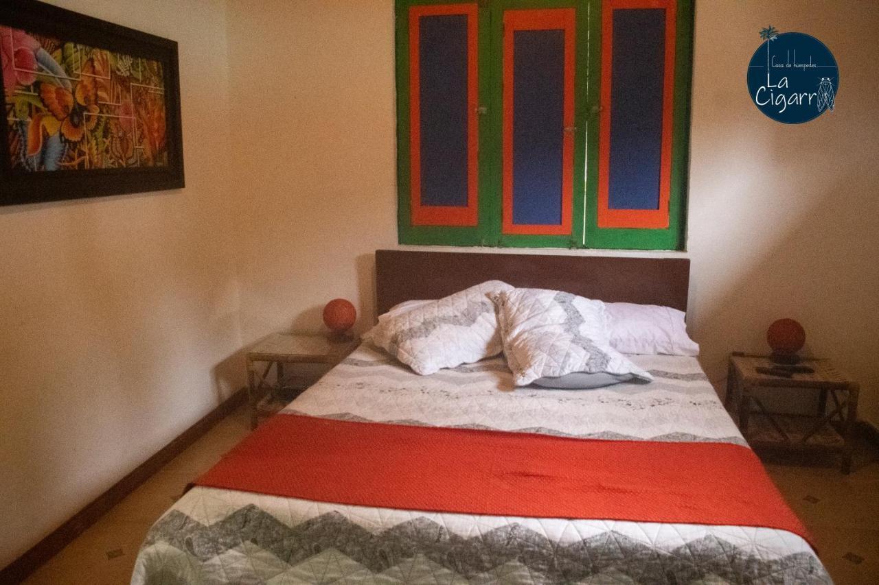 La Cigarra Casa De Huespedes Otel Salento Dış mekan fotoğraf